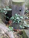 2011-04-16, Eliasfriedhof (59)